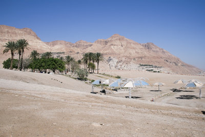 En Gedi, Dead Sea shore