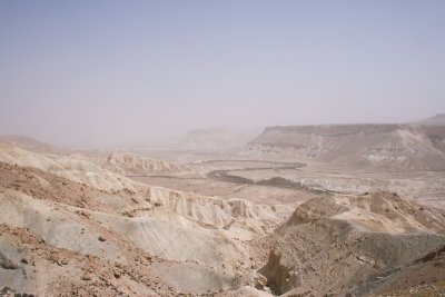 Wadi Zin, Negev Desert