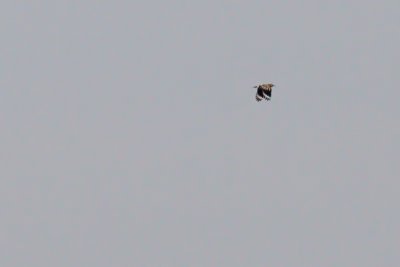 g3/94/622494/3/123948153.p9aKTXuR.jpg