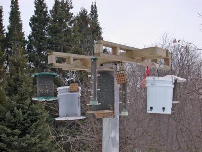 Bird Feeding Station