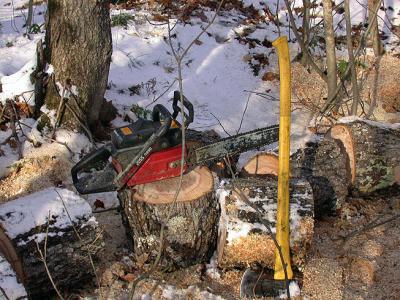 Wood Production