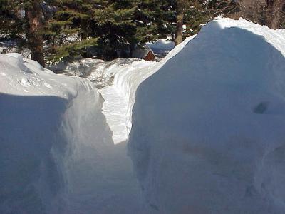 Ranch Snow