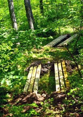 Trail Bridge