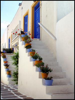 g3/94/634094/3/56227575.Flowerpots.jpg