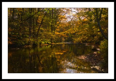 Autumn-river.jpg