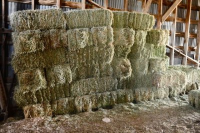Hay stacked in the barn.