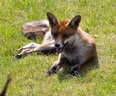 IMG_1067.jpg