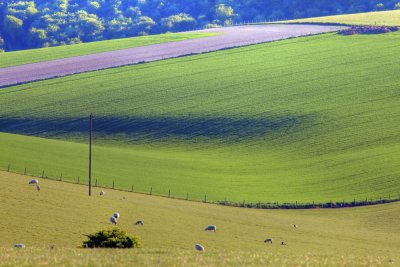 View from Telscombe Village