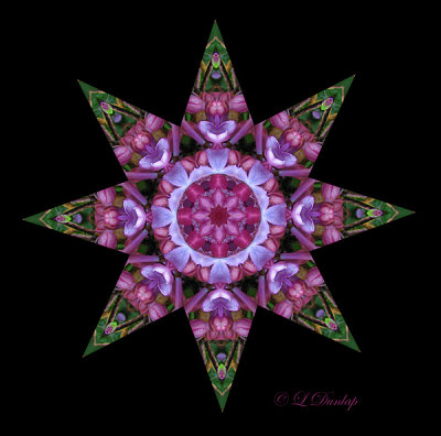 147 Lilacs Kaleidoscope 2