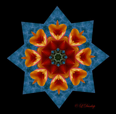 270.2 Tulip Kaleidoscope On Blue