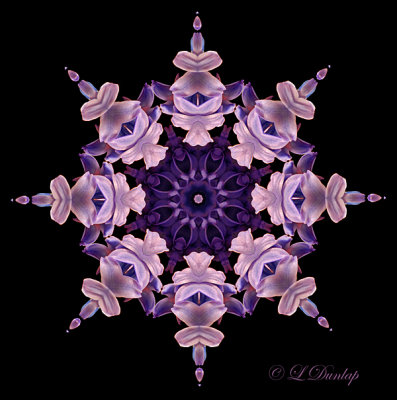 51 Hyacinth Kaleidoscope10