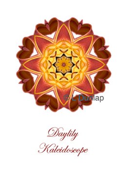 6 - Daylily Kaleidoscope Card