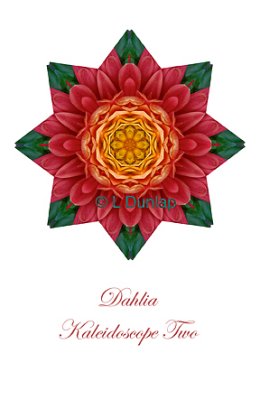 14 - Dahlia Kaleidoscope Card