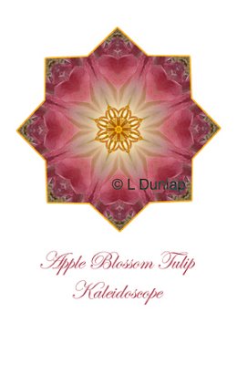 15 - Apple Blossom Tulip Kaleidoscope Card