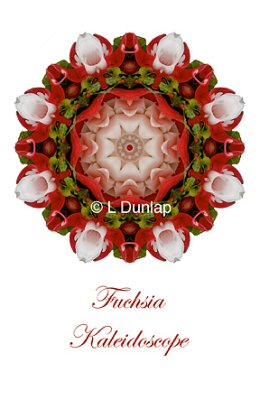 24 - Fuchsia Kaleidoscope Card