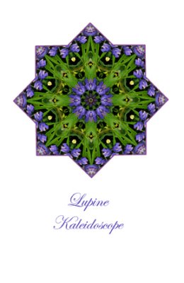 72 - Lupine Kaleidoscope Card