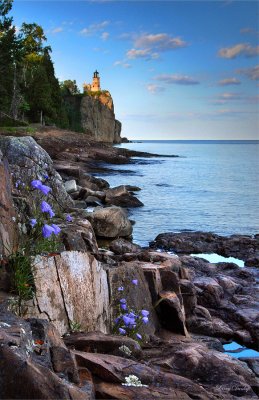 43.1 - Split Rock Lighthouse In Evening, With Harebells
