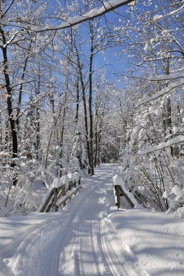 58.4 - Pattison Ski Trail