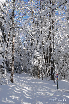 58.6 - Pattison Park Ski Trail