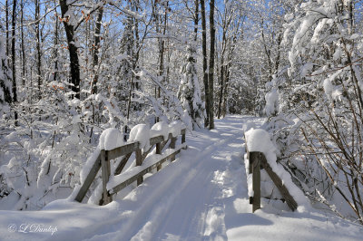 58.41 - Pattison Park Ski Trail and Bridge