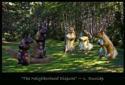 The Neighborhood Dispute