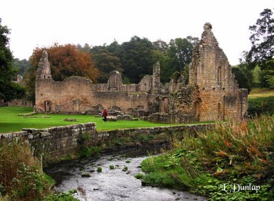 Fountains Abbey Ruins, River Skell