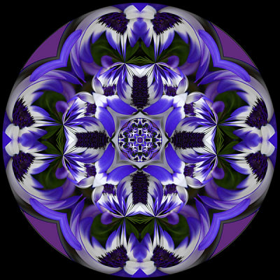 410 Blue Daisy Kaleidoscope