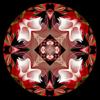 260.4 Fuchsia Kaleidoscope