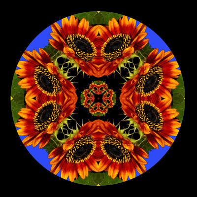 290 Red Sunflower Kaleidoscope
