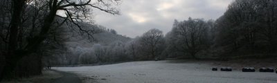 New Year 09 081.jpg