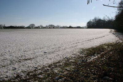 Winter Walk 7th Feb 09 011.JPG