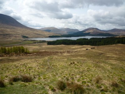 g3/94/748494/3/125049422.NztMl0w6.jpg