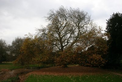 Scoobies - Audley End 1107 044.jpg