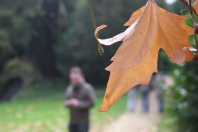Scoobies - Audley End 1107 052.jpg