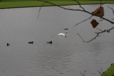 Scoobies - Audley End 1107 087.jpg