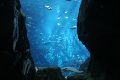 SouthernStates0 111.JPG