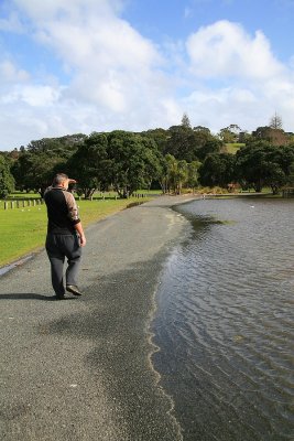 Shakespear Park, road half flooded