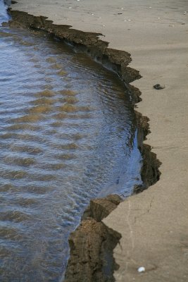 On the beach..after the flood