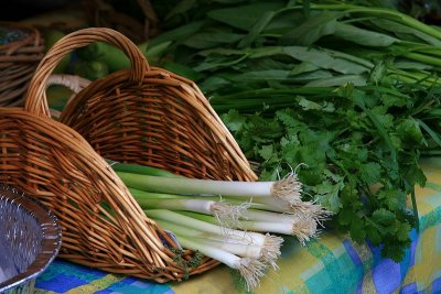 Matakana Markets