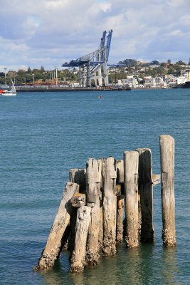 Stanley Point North Shore, AUCKLAND