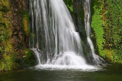 Waterfall fall, Napier Gardens