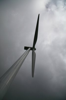 Wind thingy..Te Apiti Wind Farm