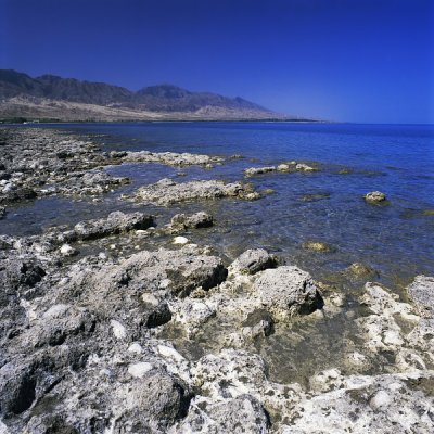 g3/94/789794/3/121638636.Wxs6Gax5.jpg