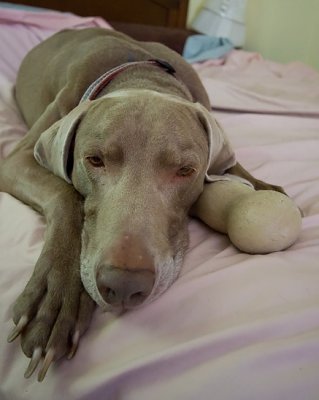 IMG_0106-web.jpg