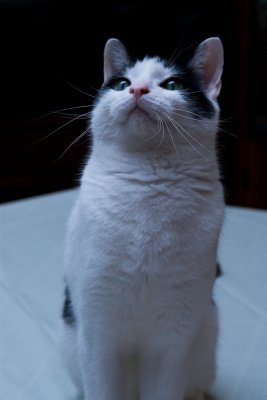 IMG_2278-Edit-Edit.jpg