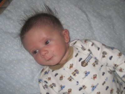 Bad hair day IMG_0296.JPG