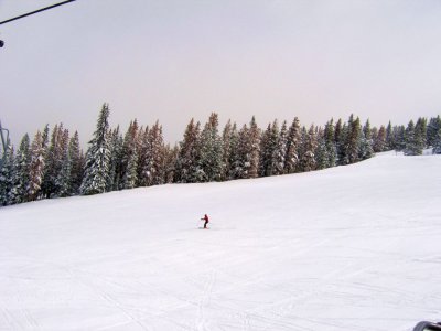 g3/94/791094/3/95952805.hN0Dld4G.jpg