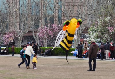 A kite!