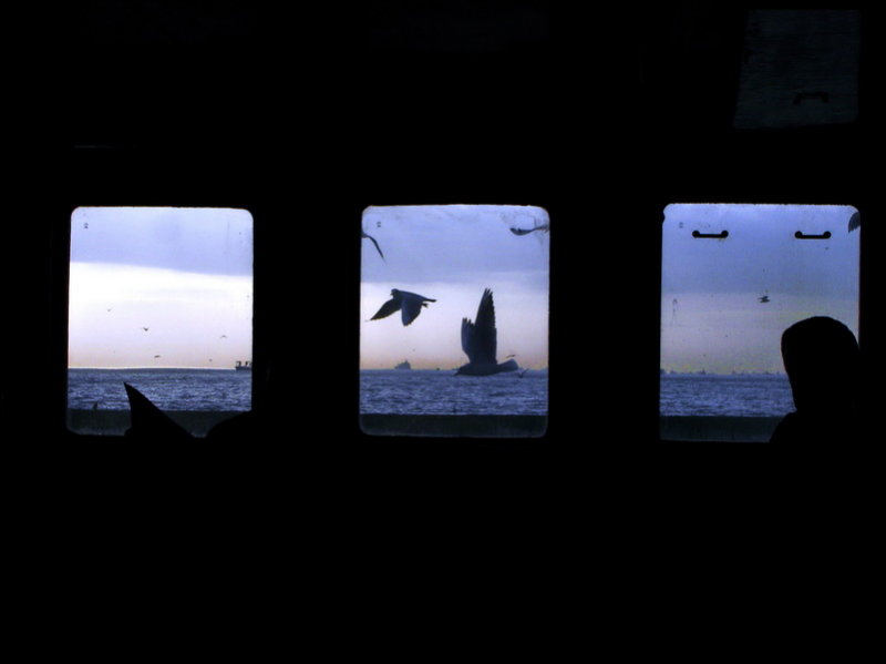 Sea gulls & ship