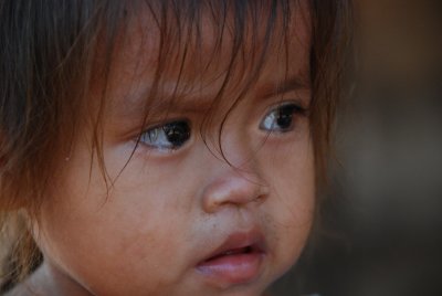 Tambupata Jungle , Peru , 2008